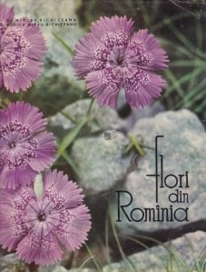 Flori din Rominia