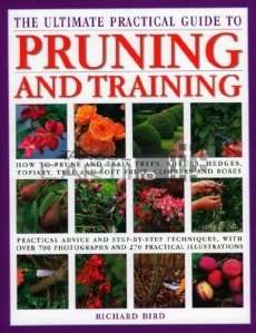 The ultimate practical guide to pruning and training / Taiere si altoire