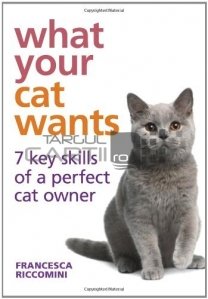 What your cat wants / Ce vrea pisica ta