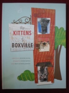 The kittens of boxville