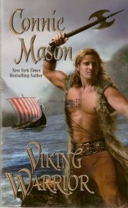 Viking warrior / Razboinicul viking