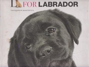 L for Labrador