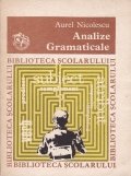 Analize gramaticale