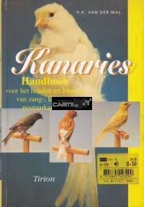 Kanaries / Canarii