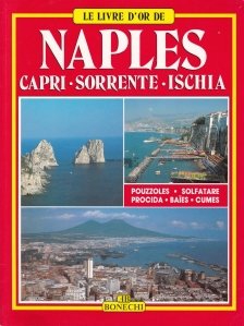 Le livre d'or de Naples