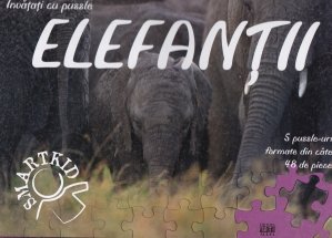 Elefantii