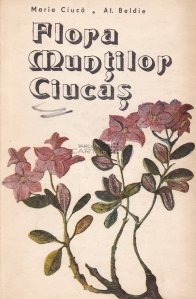 Flora Muntilor Ciucas