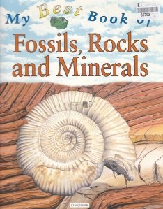 Fossils,Rocks and Minerals / Fosile,pietre si minerale