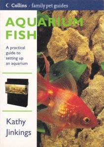Aquarium fish / Pesti de acvariu