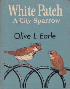 White Patch, a City Sparrow / White Patch, o vrabie de oras