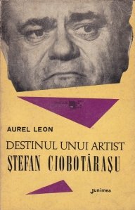 Destinul unui artist: Stefan Ciobotarasu