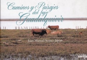 Caminos y paisajes del bajo Guadaquivir
