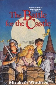 The battle for the castle / Lupta pentru castel