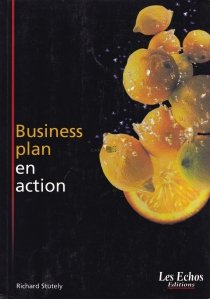 Business plan en action / Planul de afaceri in actiune