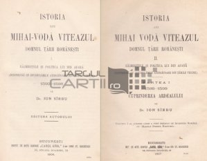 Istoria lui Mihai-Voda Viteazul, Domnul Tarii Romanesti