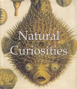 Natural curiosities / Curiozitati naturale